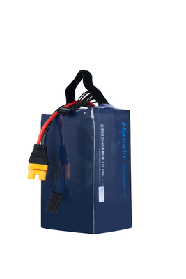 kaufen MSDS UN38.3 BIS Herewin 12s Lipo Batteriepack UAV Batterie 22Ah 45.6V 25C Schnellladung Online-Herstellung